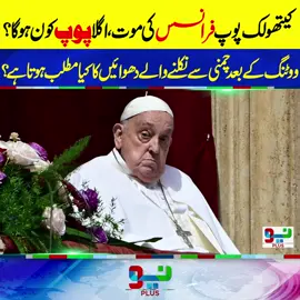کیتھولک پوپ فرانسس اب نہیں رہے، اگلا پوپ کون ہوگا؟ ووٹنگ کے بعد چمنی سے نکلنے والے دھوائیں کا کیا مطلب ہوتا ہے؟ #NeoNews #foryou #foryoupage #fyp #fyppppppppppppppppppppppp