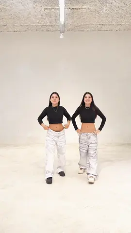 Le copio el movimiento y se enojó 😂 las mellis siendo mellis @mellissvalenailen 