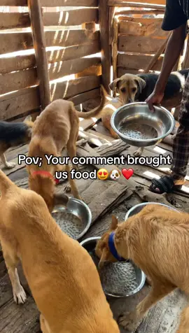 #animalsoftiktok 
