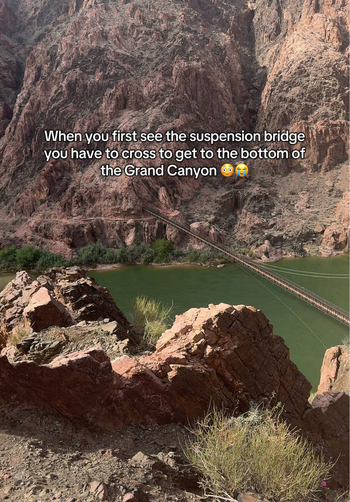 Would you cross this? #grandcanyon #phantomranch #southrim 