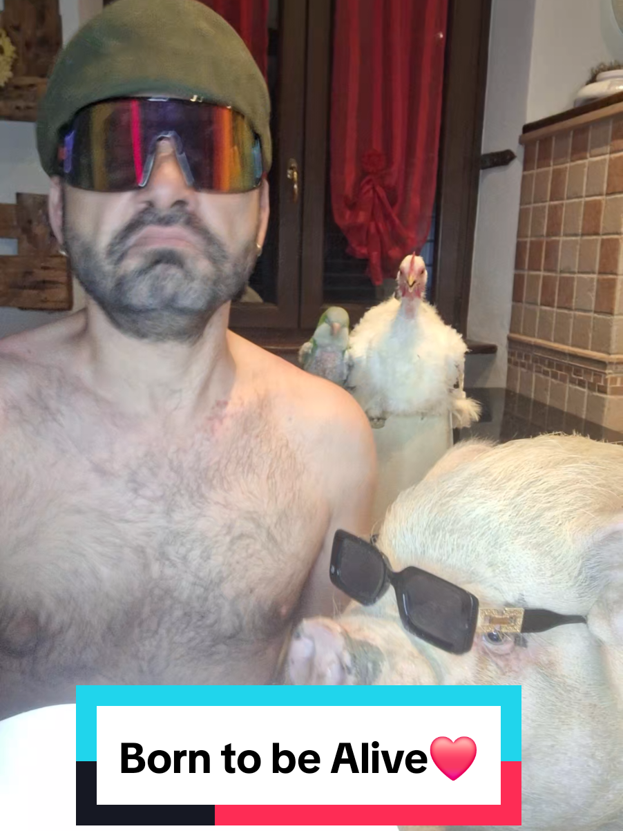 #funnyvideos #videodivertenti #comico #risate 