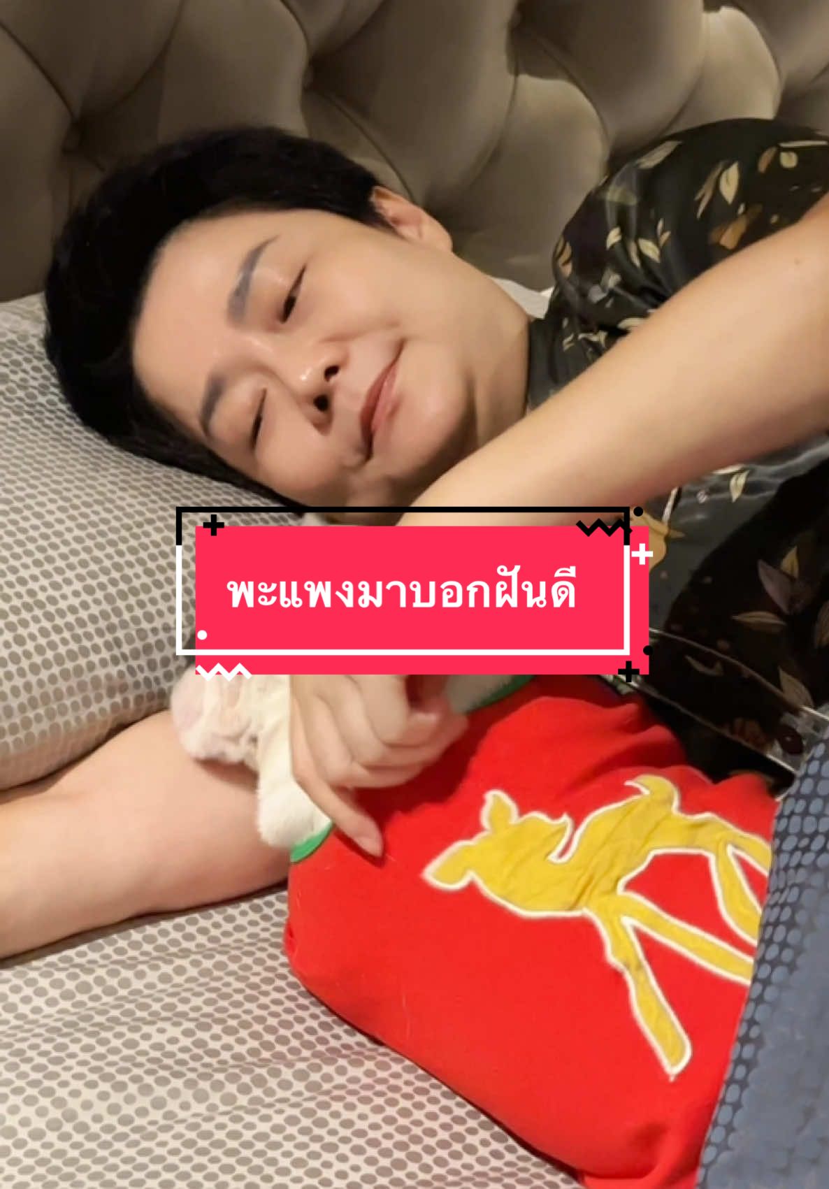 ความรักที่ไม่ซับซ้อน ไม่ต้องใช้สมองแต่ใช้หัวใจ#พี่ไก่เลี้ยงหมา17ตัว #รัญจวนพี่ไก่ #พะแพงโคลนนิ่ง #สัตว์เลี้ยงtiktok #พะแพงหมาโคลนนิ่ง #สัตว์เลี้ยงแสนรัก @วีแคร์ยูไทยแลนด์ 