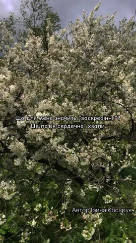 Що для тебе значить Воскресіння? #воскресіння #пасха #poem #easter #поезія 
