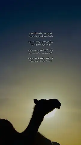 #ترند_تيك_توك #fypシ #explore_اكسبلورر #تصويري📸🌚اكسبلوور 