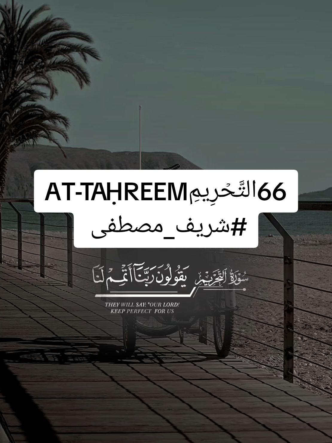 66التَّحۡرِيمِAT-TAḤREEM  #سورة_التحريم ايه 66:8 #شريف_مصطفى  #قوالب3assom93 #قالب_قرآن  #ترند_سهل_قوالب_قران_للحسنات_الجارية  #قوالب_قران_كريم #قران #القران #قران_كريم  #allah #quran #muslim  #quran_capcut_template 