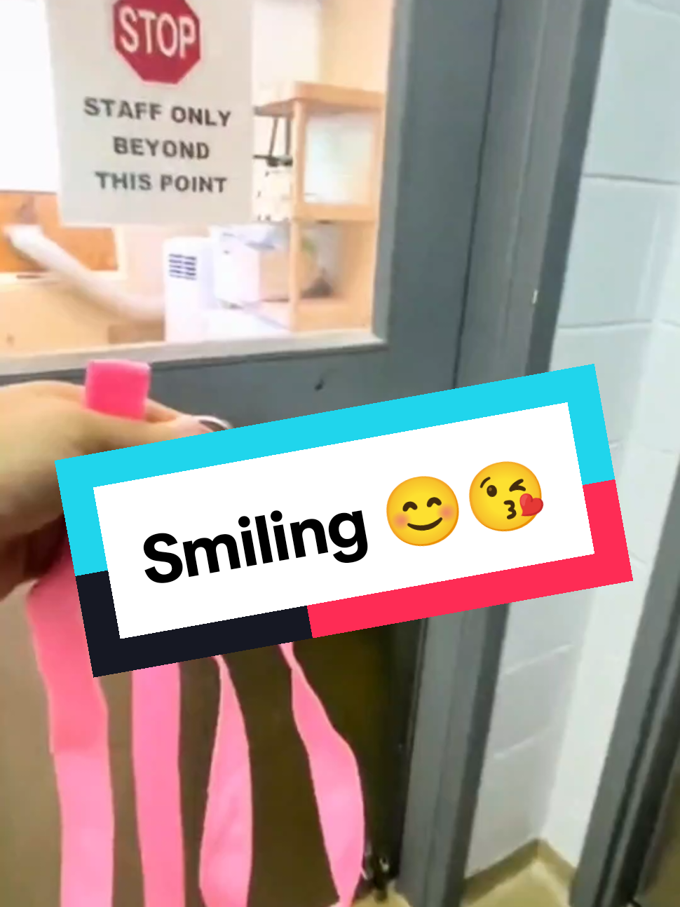 they are smiling 😊 #shelterdog #dogadoption #dogs #doggo #fyp #dogsoftiktok #pets #PetsOfTikTok #dogmom #doglovers 