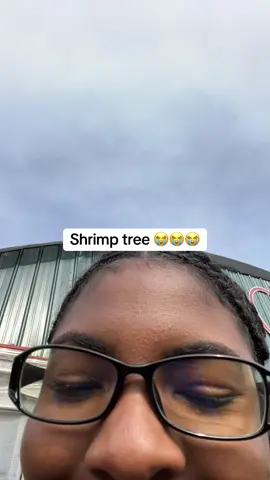 The way I love it! #silly #fyp #fYp #fyP #Fyp #relatable #tree #shrimp #BlackTikTok 