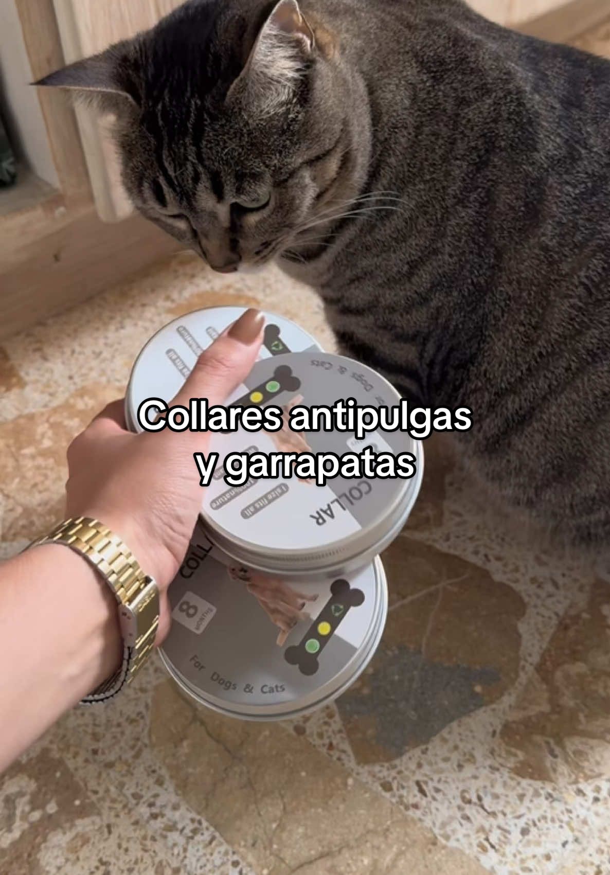 Yo sé que lo has estado buscando✨ y así cuido a mis mascotas de forma práctica y segura 🐶🐱 #mascotas #acuapetscol #perros #gatos 