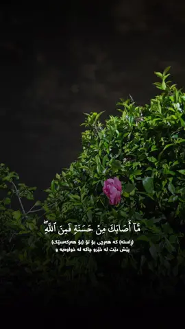 سورة النساء #سعد_الغامدي #ما_اصابك_من_حسنه_فمن_الله #القران_الكريم #القران_الكريم_راحه_نفسية😍🕋 #قرآن #بصوت #القارئ #سعدالغامدي #قرأن #سورة_النساء #quran #explore #islam #viral #foryou #fyp 