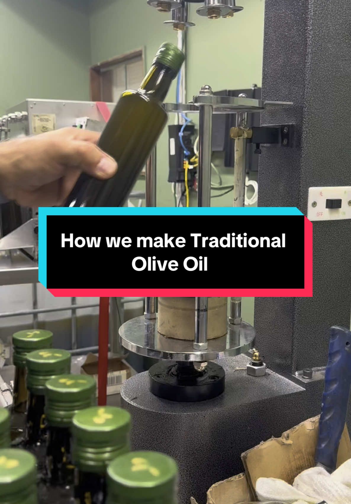 Traditional olive oil isn’t popular anymore—it’s not cost-effective or made for mass production. But we’re keeping the tradition alive for its unmatched quality and flavor. Grab your bottle of Levantine—two bottles, free shipping!