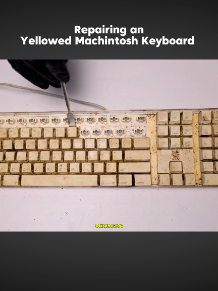 Yellowed Machanical Keyboard Reatoretion | ASMR Restoretion  #restore #rusty #repair #asmrsounds #asmrvideo #restoration #renovation #restockasmr #diyproject #oldtonew #restorationprojects #restoretionvideos #restoretionrepair 