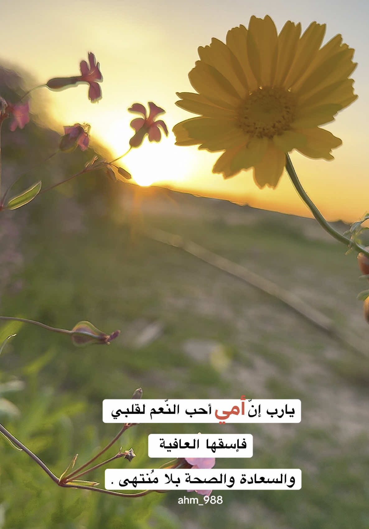 #امي   