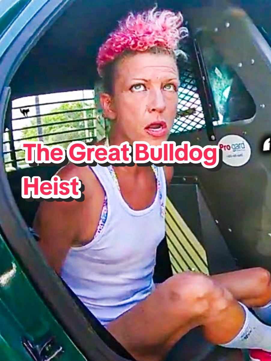 The Great Bulldog Heist #Police #BodyCam #CopWatch #PoliceBrutality #lawenforcement  #creatorsearchinsights 