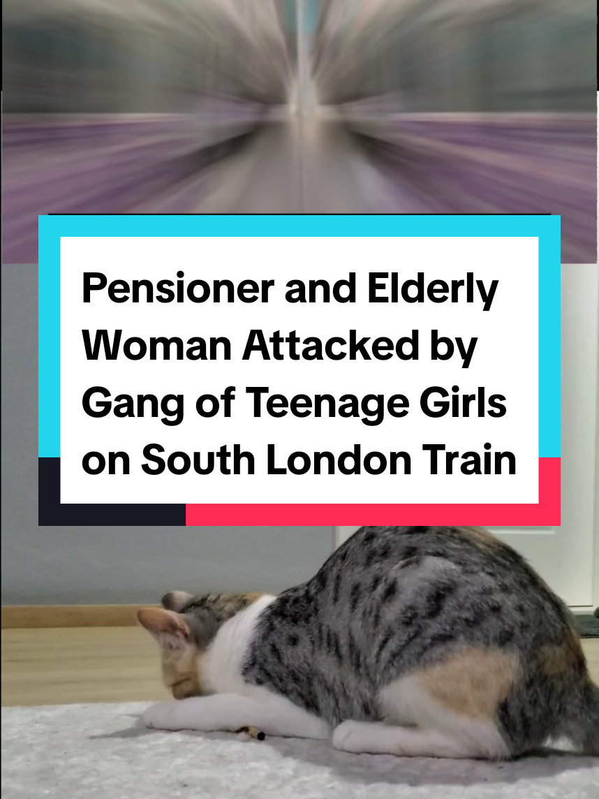 #BreakingNews  #crimenews #londontrain #SouthLondon #uknews 