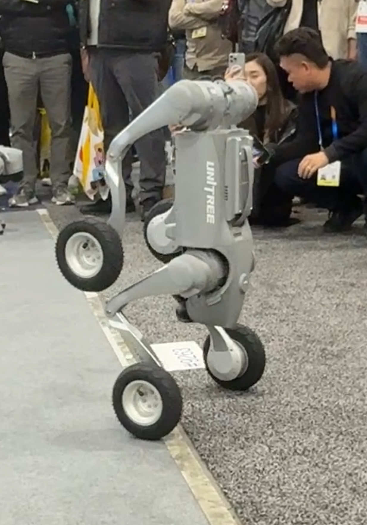 …NOTHING TO SEE HERE… #CES2025 #ces #robodogs #terminator #unitree #robots 