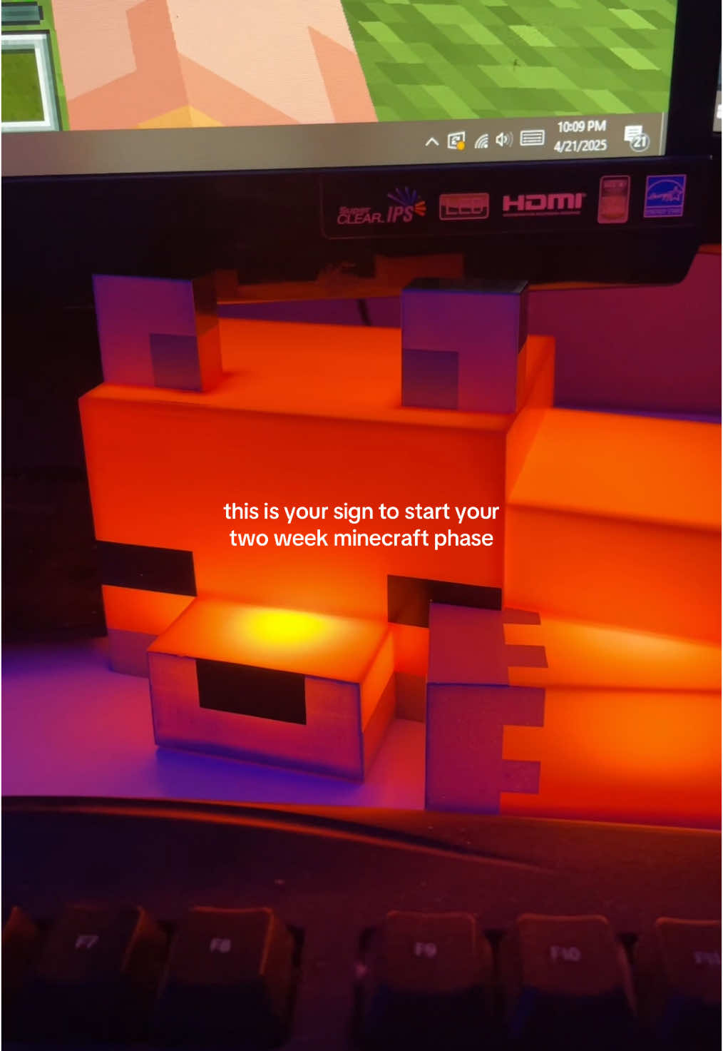 this is your sign!! 🦊🤍 • • • #fyp #viral #trend #taylorcurrier #microinfluencer #relatable #relatablecontent #Minecraft #aesthetic #gaming #fox #minecraftfox #light #lamp #nightlight #tiktokshop #tiktokshopaffiliate #april2025 #trendingaudio #trendingsong #trendingsound 