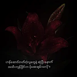 ဟန်ဆောင်တဲ့လူတွေထက်စာရင် အထီးကျန်တာပိုကောင်းကြောင်းးး#Mj_2010 #စာတို☯ #tiktokmyanmar #fyppppppppppppppppppppppp 