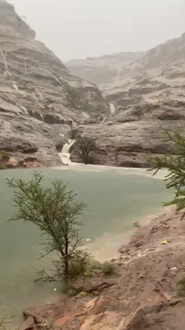 #مصورة #تصويري 