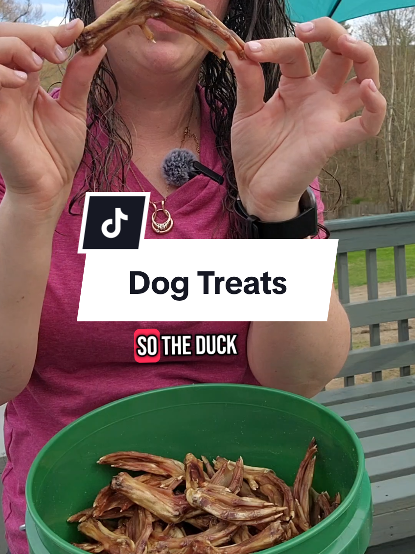 Dog treats for dogs!  #dogtreats #dogchews  #naturaldogtreats #dogproducts  #dogenrichment 