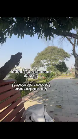 သူငယ်ချင်းမွေးနေ့ဆိုတာ ရီးဇားနဲ့ခိုးတွေ့တာပါအမေရယ် #fyppppppppppppppppppppppp #fypシ゚viral🖤tiktok #foryou #fypシ゚ #fypပေါ်ရောက်စမ်းကွာ #crdစာသား 
