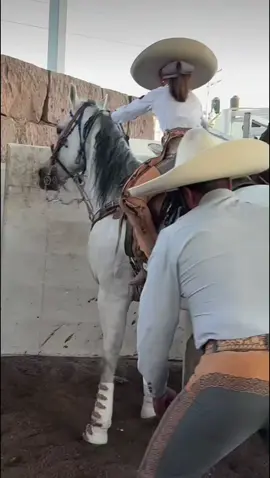 Algo bien! 🤠🫶 #fyp #viral #vyp #ranchlife #charreria #charros #charrosmexicanos  #vidaderancho #joansebastian #promo_veyra #charro_fino 