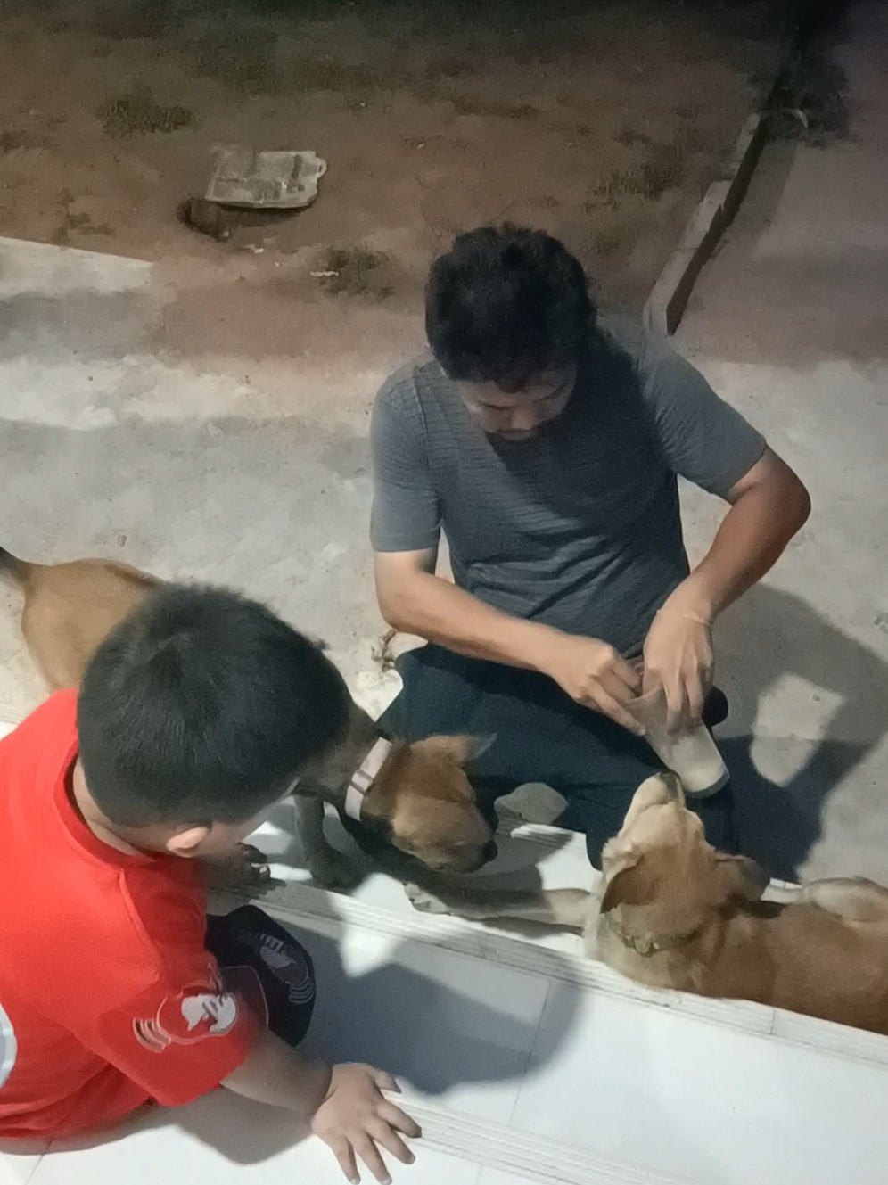 หมาซึมไม่ทานอาหาร.!! อยู่ด้วยกันก็ต้องดูแลกัน #ลำไส้อับเสบ #น้องโบ๊ท 