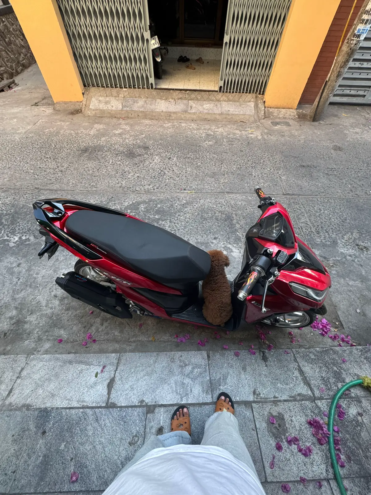 #vario #vario125new #vario125 #xuhuongtiktok #fyp #varal #QuốcDương #65cantho #xekieng 