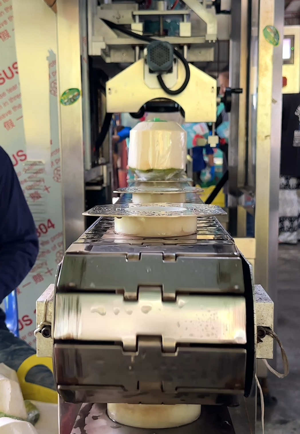 How This Machine Packs Fresh Coconuts to Perfection! #coconut #fruit 