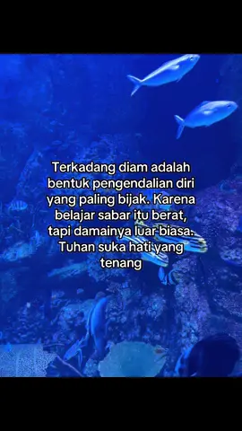 Sabar apapun situasinya, lebih baik diam daripada menyakiti orang #fyp #fypkristen #kristentiktok #saatteduh #inspirasikristen #godbless #kristen #xyzbca #rohani_kristen #godbless 
