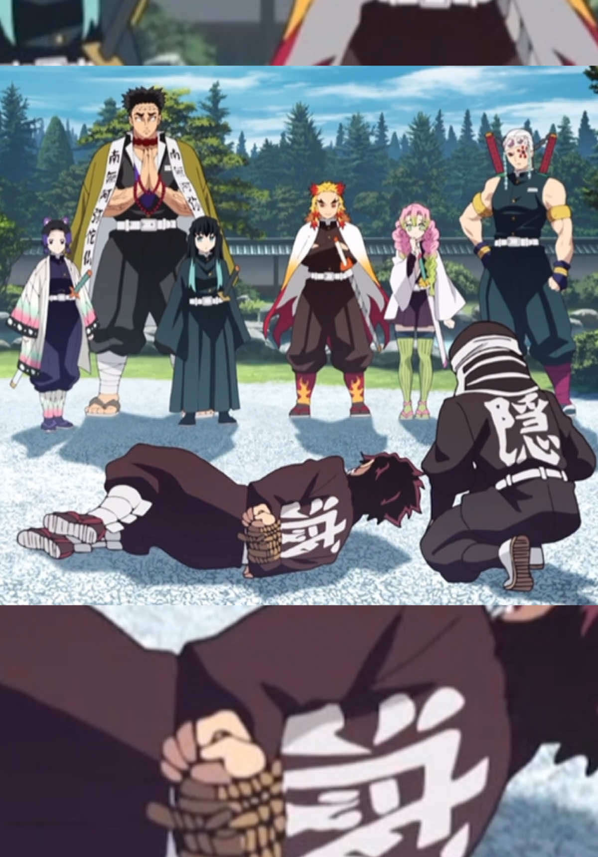 Hashira Meeting #CapCut #hashira #animetiktok #anime #animecommunity #fyp #demonslayer #demonslayeredit #season1 