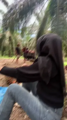 #sawitriau 