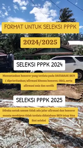 seleksi PPPK 2024 dan 2025 #asn#pppk#fyp 