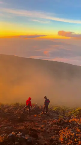 Berani nekat atau tidak kemana mana!! #gunungindonesia #dempo #pendakiindonesia #gunungdempo 