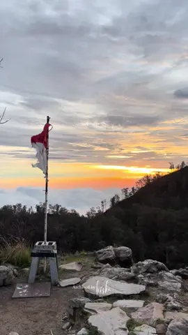 Lautan awan + sunset dari puncak rengganis gunung argopuro 🤍 #argopuro #argopuro3088mdpl
