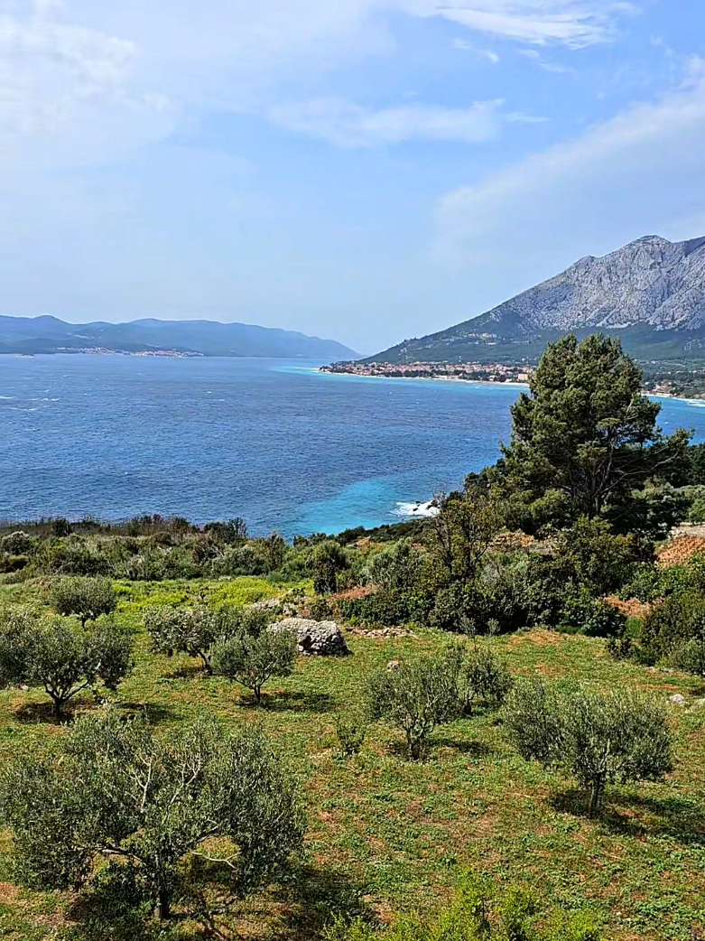 🇭🇷CROATIA🇭🇷 📍Pelješac #chorvatskovsrdci #jarochorvatsko #dalmacijadusuozdravi #dalmacija #jiznidalmacie #peljesac 