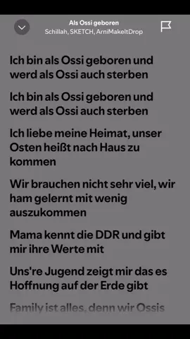 Als ossi geboren 🤜🏻🤛🏻 @Schillah @ArniTheSavage @sketch.eastsideboyz #viral_video #fyp #gönndochfy #tekk #ostdeutschland #unserosten 