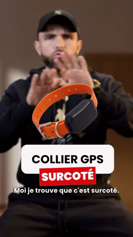 Collier GPS : Surcoté ou Sous-coté ? Apprenez le rappel facilement et pas à pas à votre chien avec notre formation en ligne Esprit Dog Family : lien en bio #espritdog #educationcanine #chien