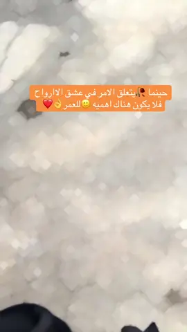 #CapCut #🫣#🫂#عمرييييي🧸🧿♥️ #منشوراتي_لاتمثلني_مجرد_ذوق 