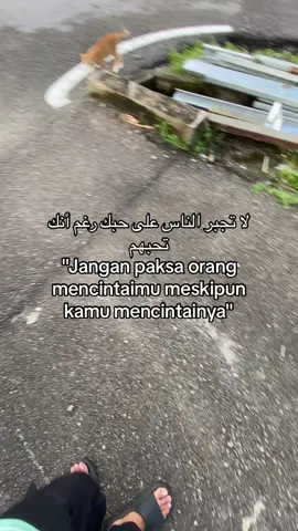 😊#selfreminder #islamicquotes #storyislami #foryou #explore #xyzbca #bismillahfyp #fyp