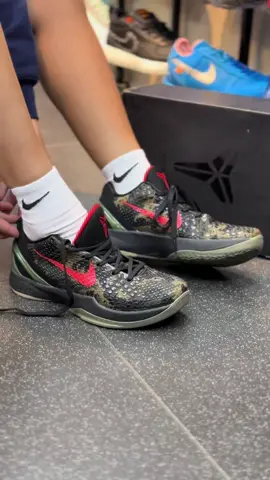KOBE 6 ITALIAN CAMO🔥🔥🔥 #fyp #kobe6italiancamo #italiancamo #kobe6 