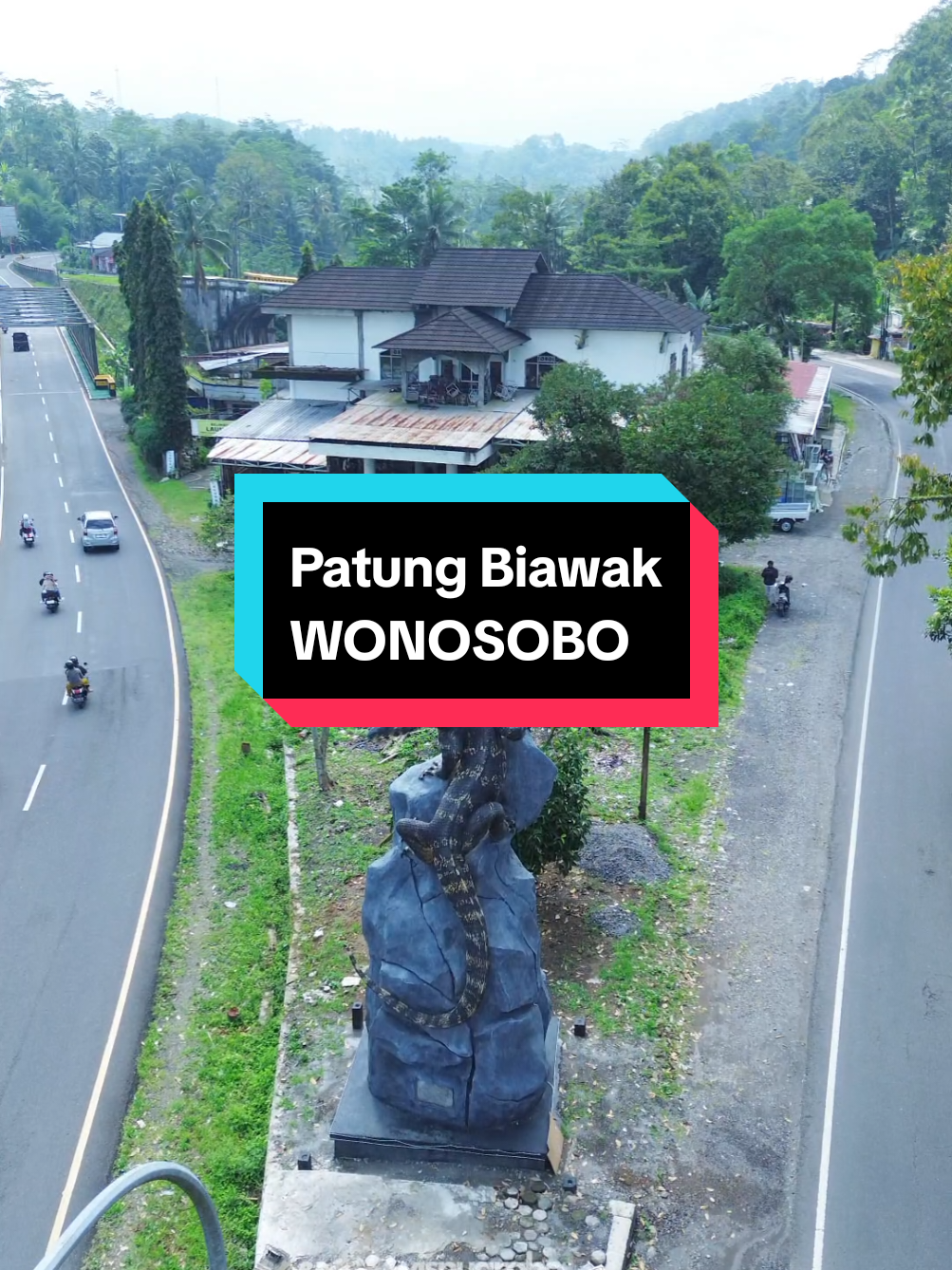 Patung yang lagi viral, saat seni dikerjakan oleh sebenar-benarnya seniman. 📍Patung Biawak / Menyawak Jembatan Krasak, Wonosobo #patungbiawak #wonosobo #wonosobo24jam #wonosobozone #fyp #fypage 