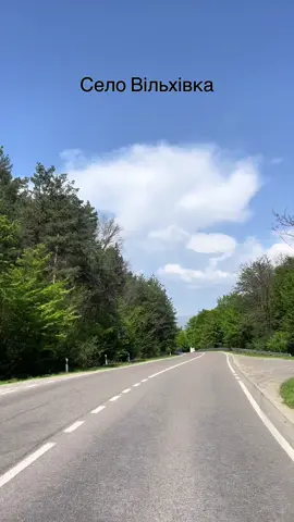 #Nature. Прийшло тепло і природа негайно набирає кольорів. Ліс чарівно красивий. Подорозі можна зупинитись для прохолодних напоїв а також смачне морозиво. #ліс #кафееліт #морозиво #подорожі #закарпаття  @Nature 