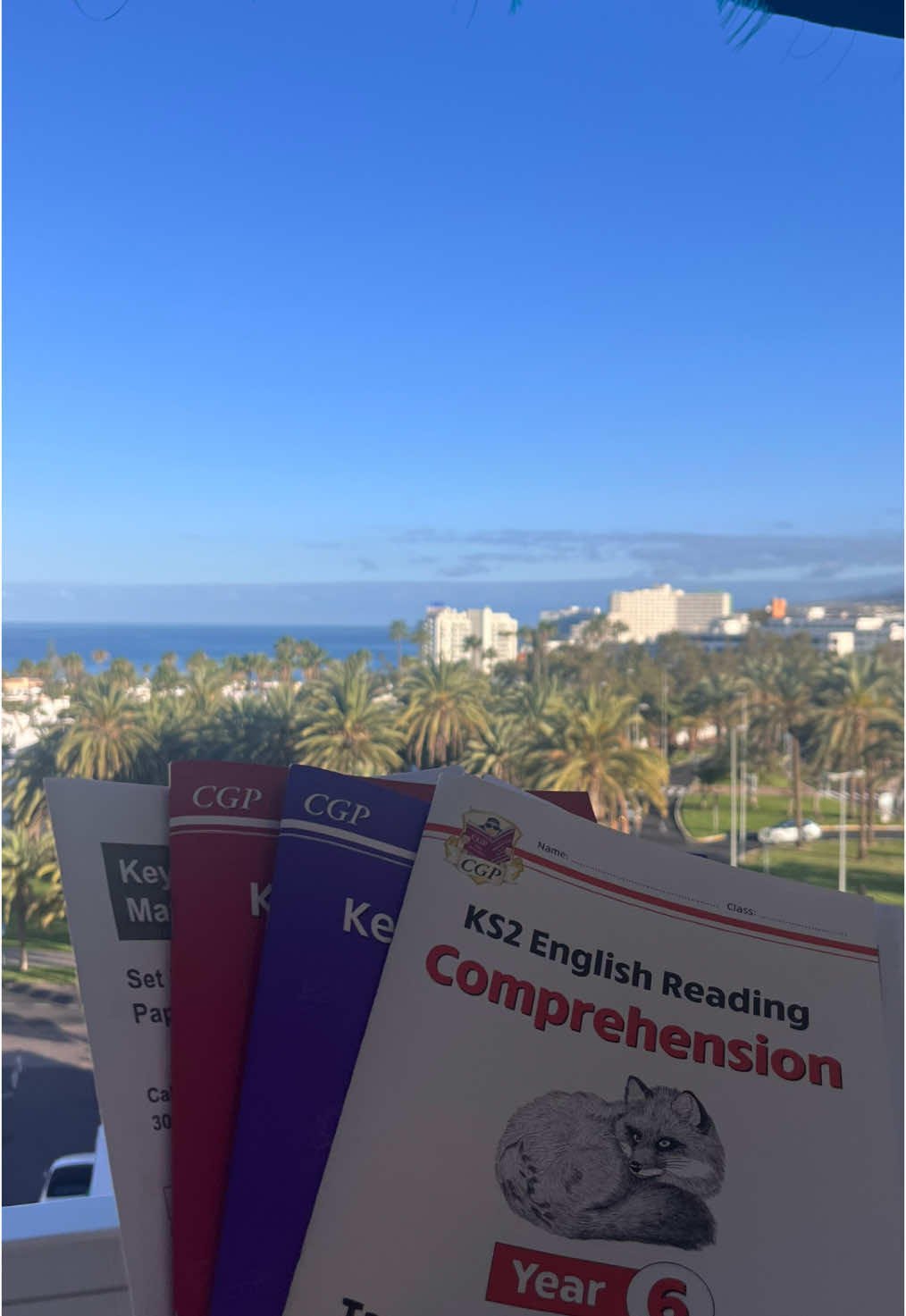 Brought my homework on the plane thinking I’d ignore it like usual… but guess who actually did it mid-flight? Character development at 30,000 feet. #HomeworkAtAltitude #DidItOnThePlane #StudentWin #BackToSchoolReady #JetLagAndDeadlines #ProductivePassenger #FromHolidayToHomework #StudyModeActivated #CharacterDevelopmentArc  #HomeworkHitsHard #BackToReality #SchoolAfterVacation #WhyMe #FromBeachToBooks #StudentStruggles #year6sats 