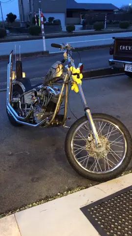 Sound H-D #harleydavidson #shovelhead #amoralasmotos #bikerlove #historia #sporters #motosunicas #springer #janodiaz 