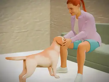 Her dog licked a small cut #dogs #doglicking #petdog 