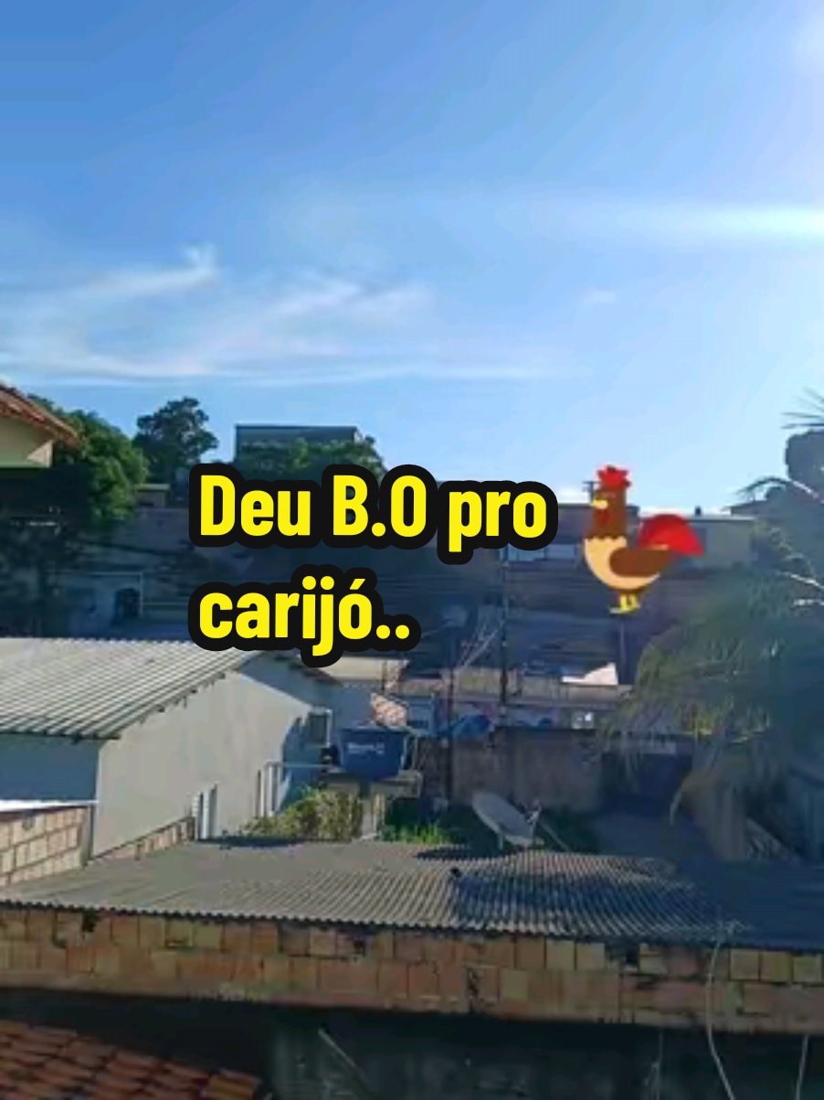 mais um dia  manhã normal em #manaus #manauscity #jornaldamanha #difusora #difusoraam #difusora24h #noticiaspoliciais #pelegrini  #noticias #jornalismo  #brasil #viral #fyy #fyyyyyyyyyyyyyyyy #manausmemes #noamazonaséassim #manausnotiktok #amazonia #bomdia #quartafeira #meusedits #registrandoomomento #memeparatiktok #tiktokbrasil #tiktokbr #meme #risos #engraçado 