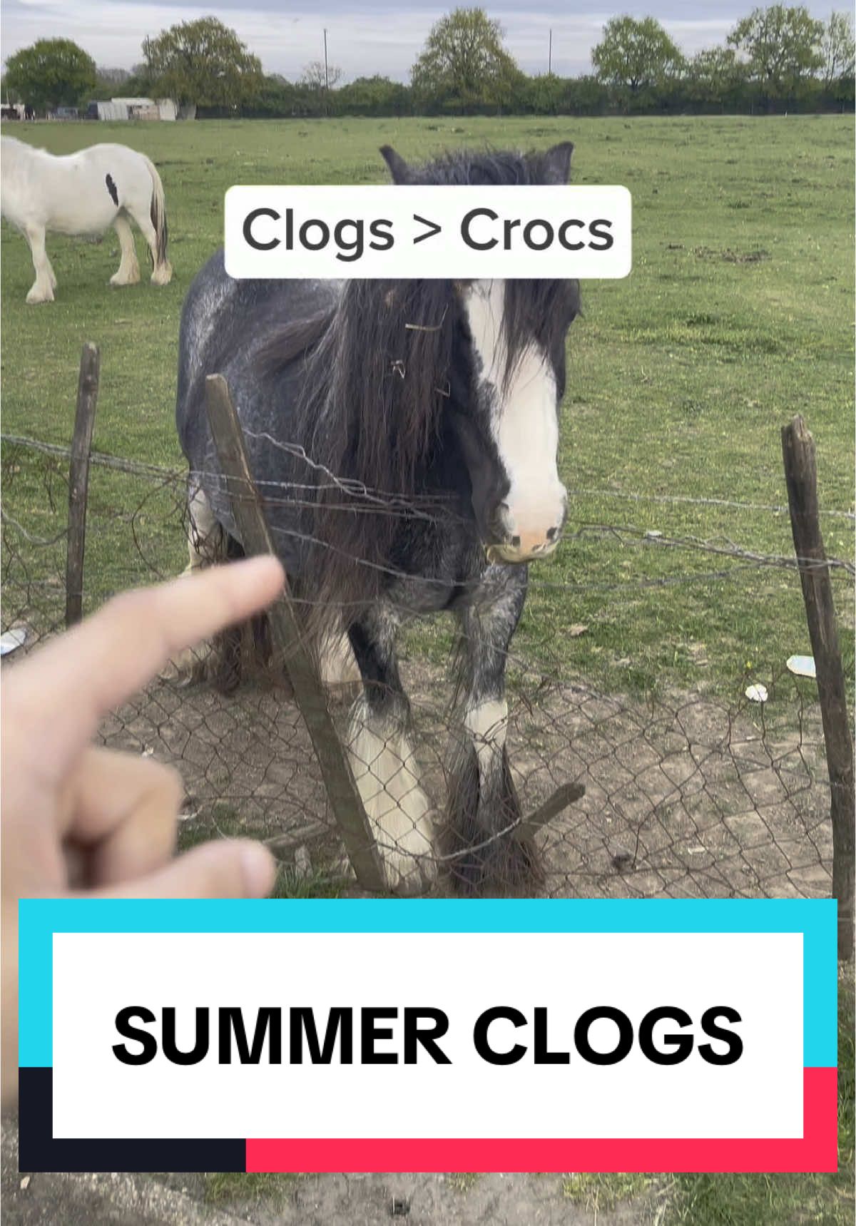 They do be comfy #crocs #crocsgang #clogs 