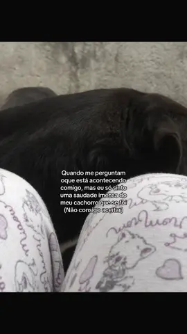 Sinto sua falta todos os dias meu amor 😔🖤 #fyp #foryoupage #funny #viral #fypシ゚ #fypp 