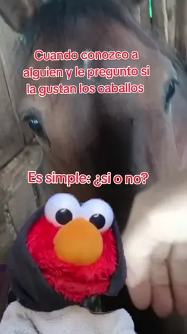Cuando conozco a alguien y le pregunto si le gustan los caballos🐴😍♥️ #amorporloscaballos #caballos #caballistasdecorazon #Meme #MemeCut 