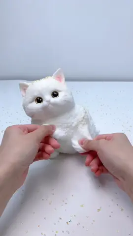 FUFUSQUISHY ASMR😺😺 Huge Cat